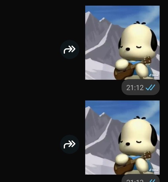 wp stickerım kutuplardaki ukulelesiyle hanniye benziyor