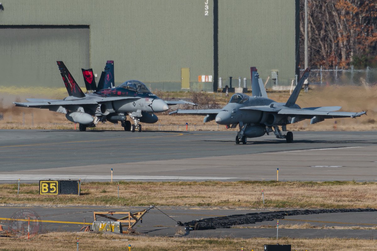 Wild Weasel tweet media