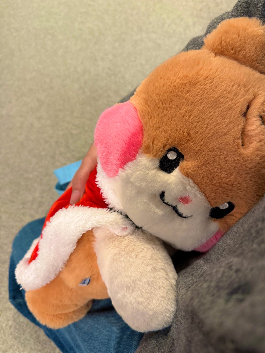 momomomomomo429's tweet image. きたー！
触り心地ふわふわ。
これは買って正解だったー！
この目線が赤ちゃん👶😍

カバンの紐も取り外しできるから普段はだっこできるよ！！
#ビニニ
#PLUSH BAG
#zeroni