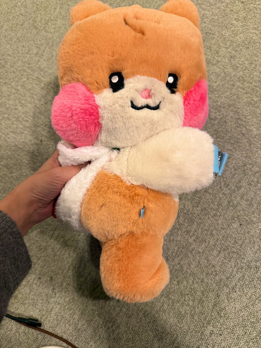 momomomomomo429's tweet image. きたー！
触り心地ふわふわ。
これは買って正解だったー！
この目線が赤ちゃん👶😍

カバンの紐も取り外しできるから普段はだっこできるよ！！
#ビニニ
#PLUSH BAG
#zeroni