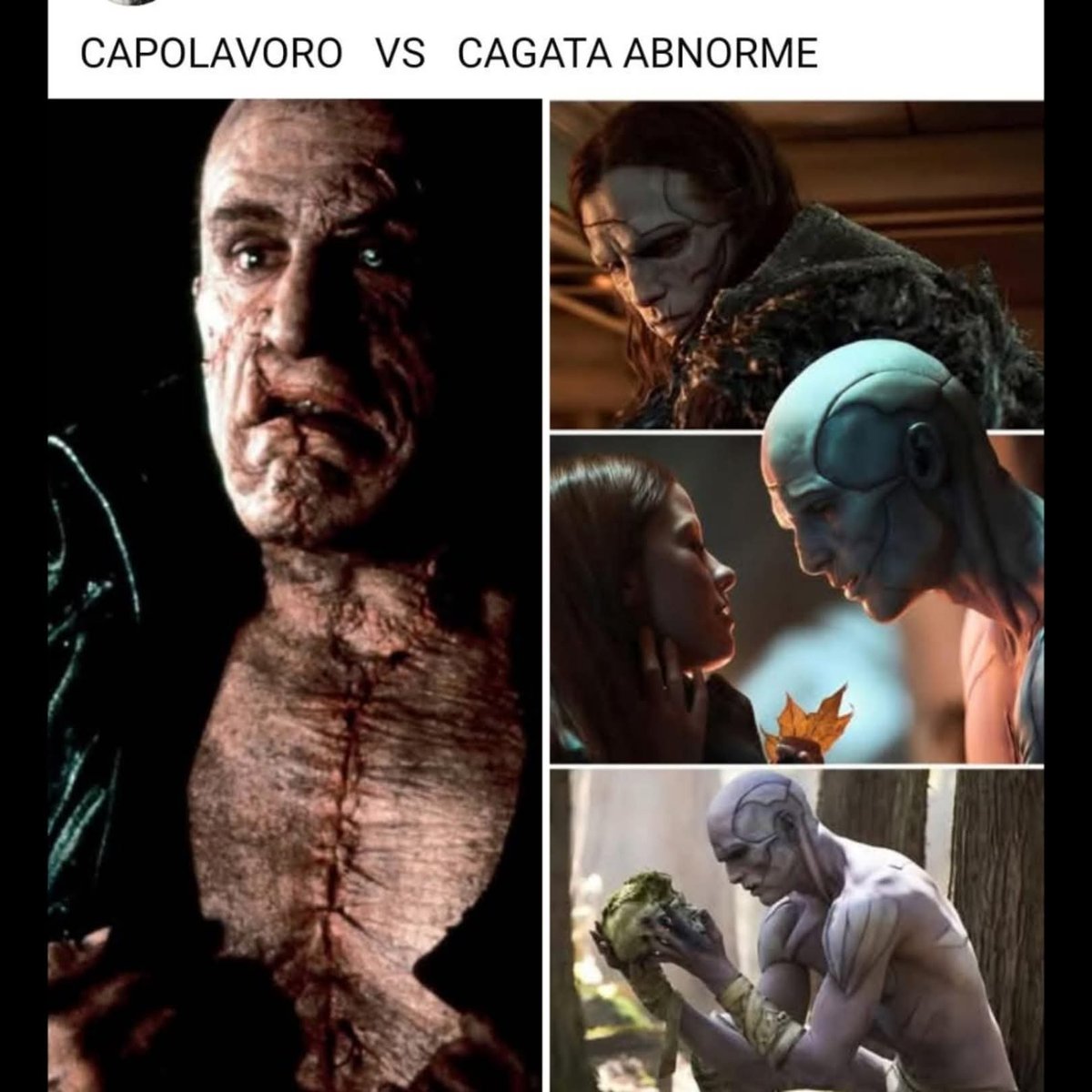 ApacheRossonero's tweet image. Perfetto