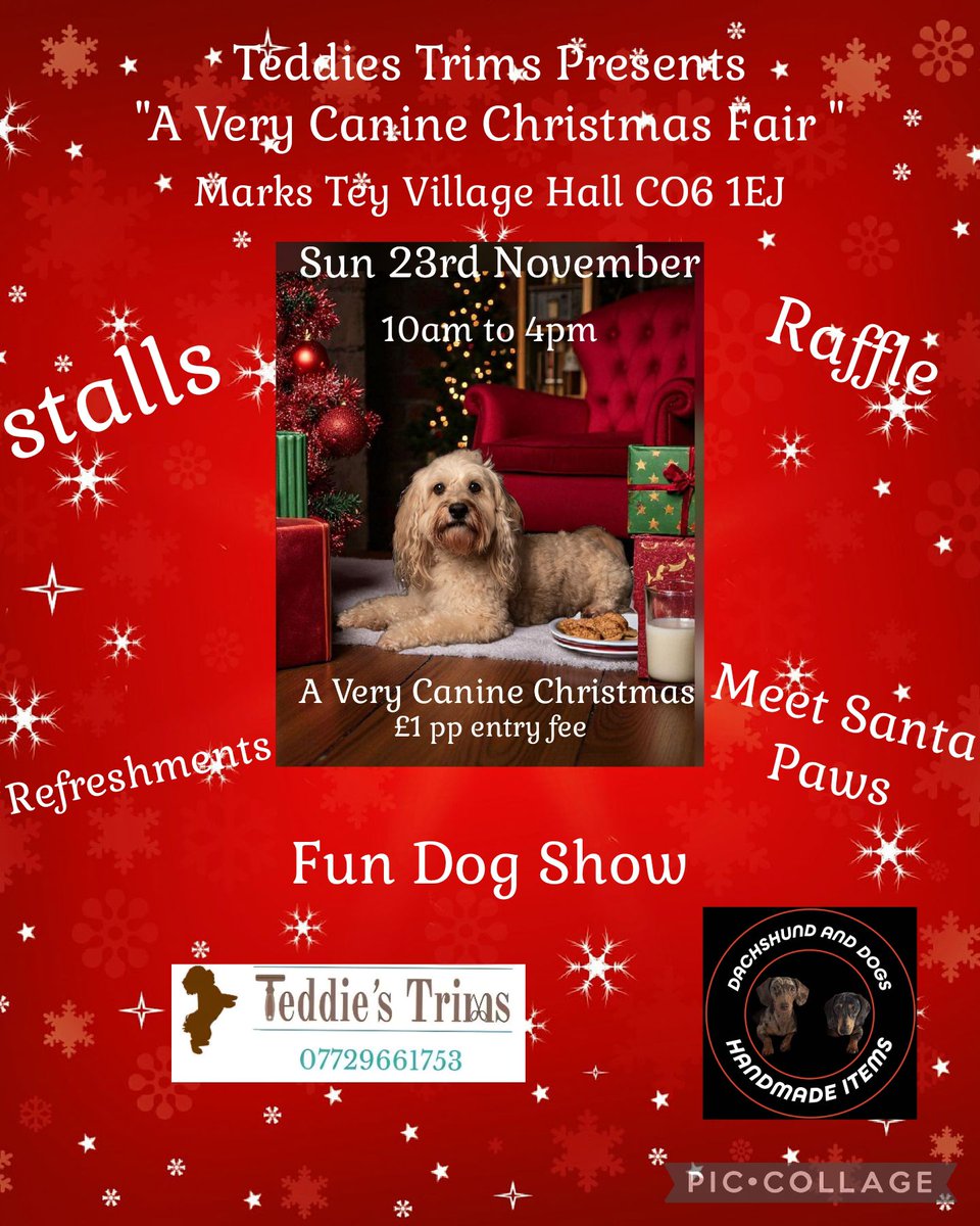 Gabecohandmade's tweet image. 🎄🐶 1 Day to Go! 🐶🎄

Get ready for A Very Canine Christmas — festive fun, treats &amp;amp; wagging tails await! 🐾🎅

📅 Tomorrow | Marks Tey Parish Hall, CO6 1EJ

#AVeryCanineChristmas #SantaPaws #DogLovers