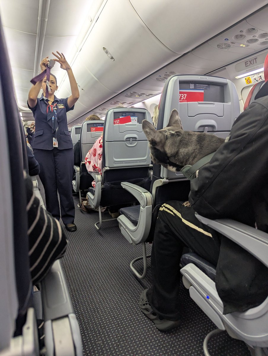 Route285's tweet photo. He was VERY interested in the safety briefing procedures however https://t.co/ng03iM5zLS