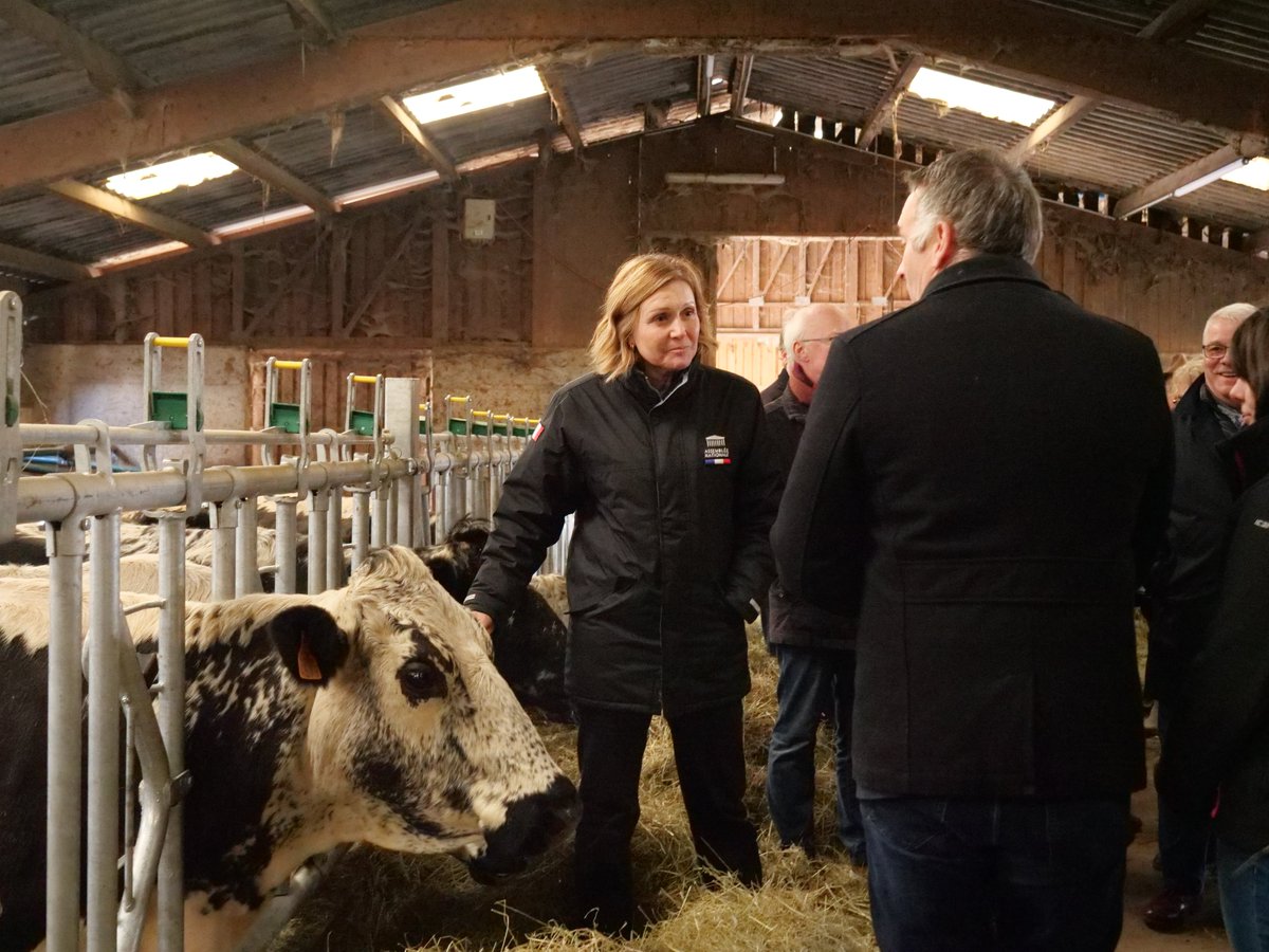 Prefet67's tweet photo. #Agriculture 🐄 | @YaelBRAUNPIVET, Présidente de l'Assemblée Nationale, était dans le Bas-Rhin à #Steige pour échanger autour des enjeux agricoles et de la vitalité démocratique.📍
➡️ Visite de l’exploitation laitière de montagne GAEC du Chênesire, incarnant un modèle agricole tourné vers l’avenir, alliant innovation, diversification et engagement en faveur de la transition écologique.
➡️ Temps d’échange avec les représentants du monde agricole, en présence des élus locaux, sur les perspectives et défis du secteur
