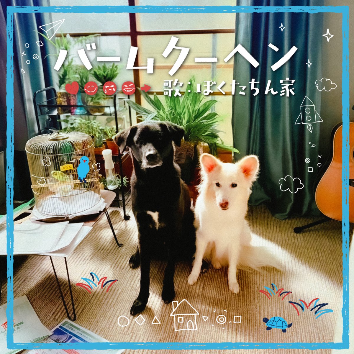 おかぴー(オカオカさん)🐖✨ (@okaoka0515) / Posts / X