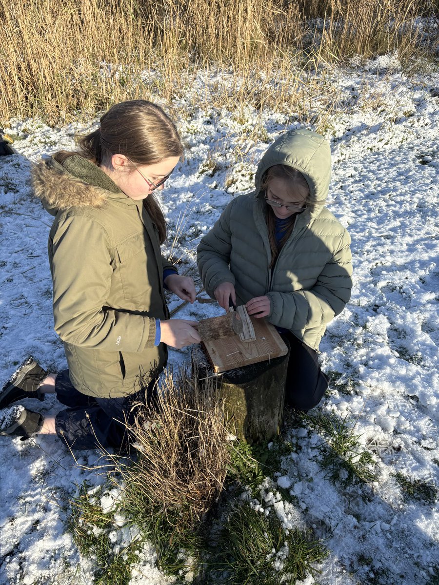 AddiewellPS's tweet image. Some very cold fingers for our Life Skills group but fantastic listening &amp;amp; communication while learning to use tools safely. Lots of kindling ready for fire-making next week!