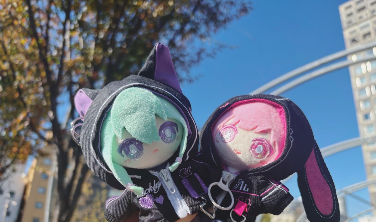 Post by にとろ⋈ on X: 💚🩷