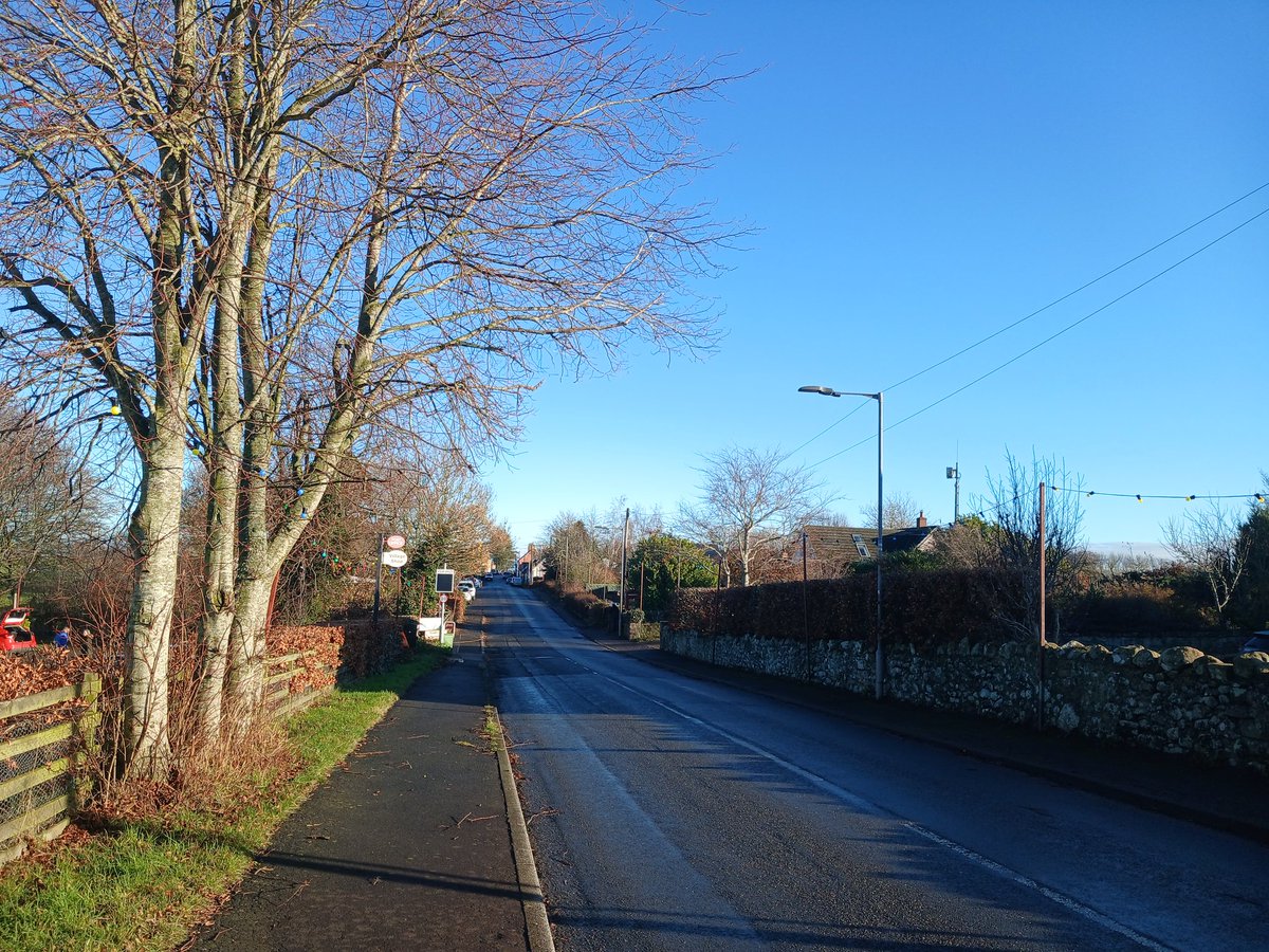 Helping the locals erect their Christmas lights 🎄
