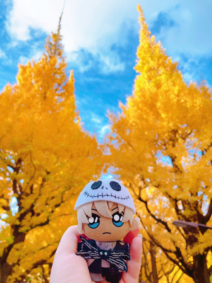 あむぬい🎃▶︎▶︎🎄「ぼくも、フサエブランドが似合うお上品で素敵な