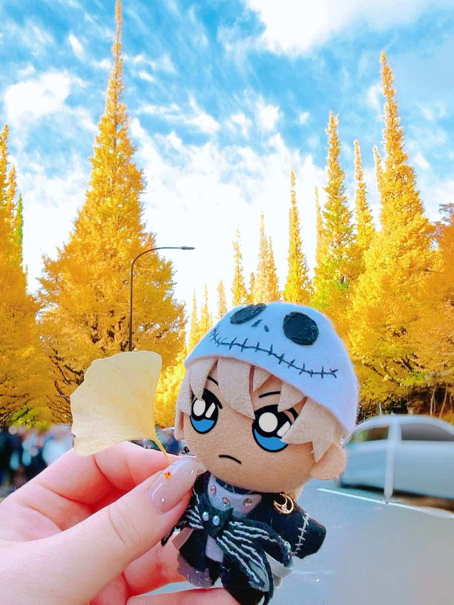 ＊＊ あむぬい あむぬい🎃▶︎▶︎🎄「ぼくも、フサエブランドが似合うお上品で素敵な