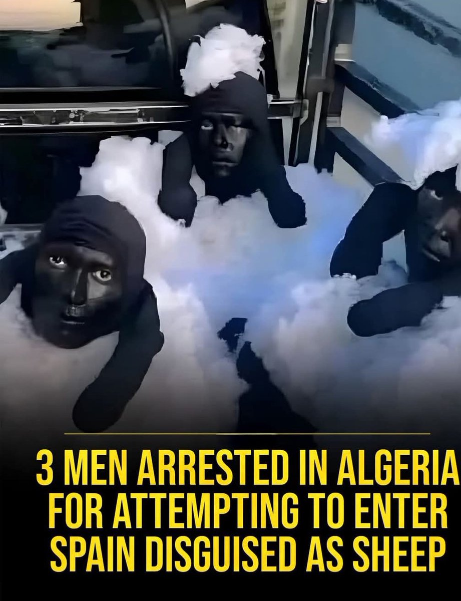 Wolf in sheep's skin proverb got twisted 🐑 
But it's innovative.