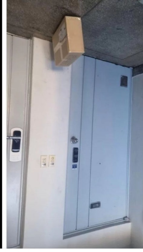 곰쿠 (@xomxuuu) on Twitter photo 