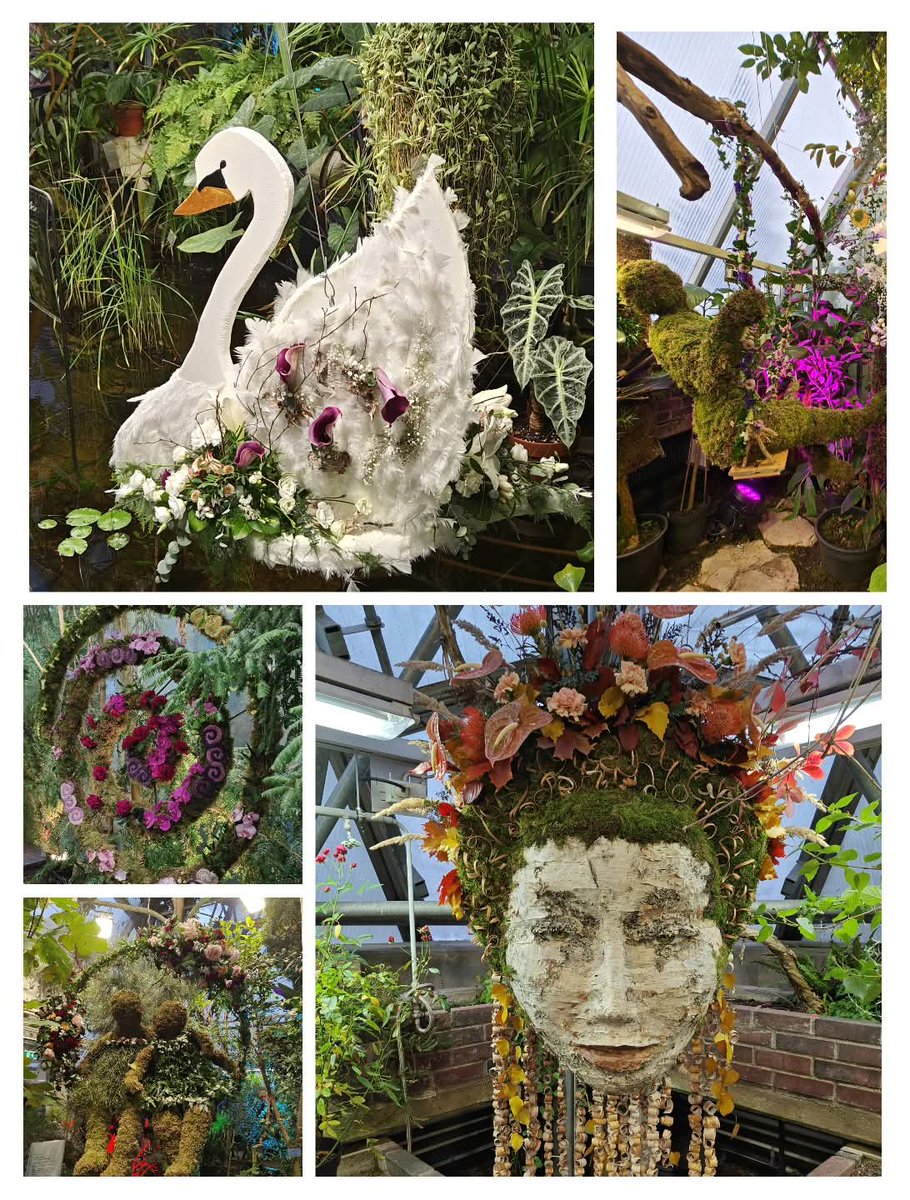 Esteettinen elämys 🌺🌹🌷#TheHangingGarden #OulunYliopistonKasvitieteellinenPuutarha