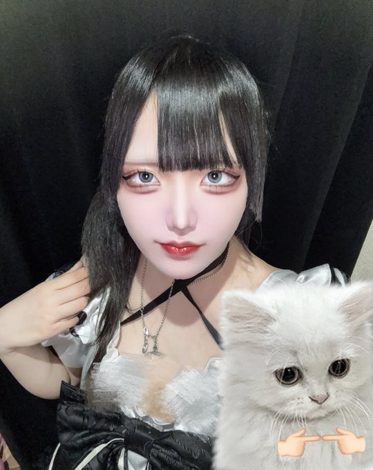 BlackMacaronのツイート