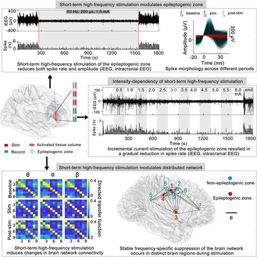 braincomms's tweet image. Yan et al. reported that short-term high-frequency electrical stimulation of the epileptogenic zone during the interictal period consistently suppressed spike rate, amplitude and spectral power 👉  buff.ly/rFWmltV #epilepsy