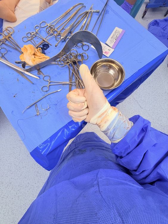 WhiteC0atDoctor's tweet image. Hi.