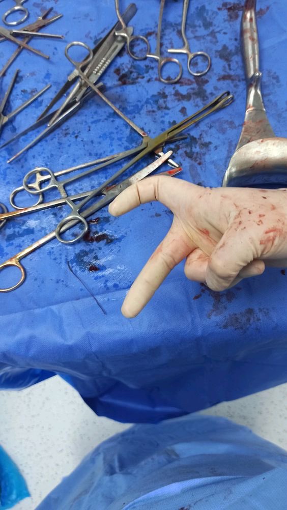 WhiteC0atDoctor's tweet image. Hi.