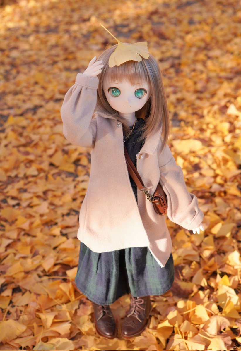 かわいい（かわいい）🍂