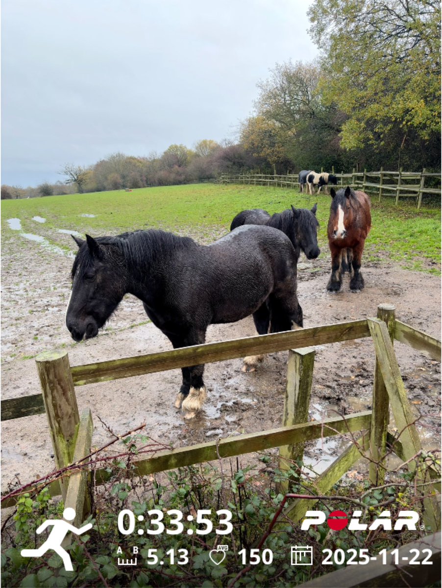 stripeboy's tweet image. 🌳🏃‍♂️ 

#Polar #PolarVeritySense #parkrun #loveparkrun