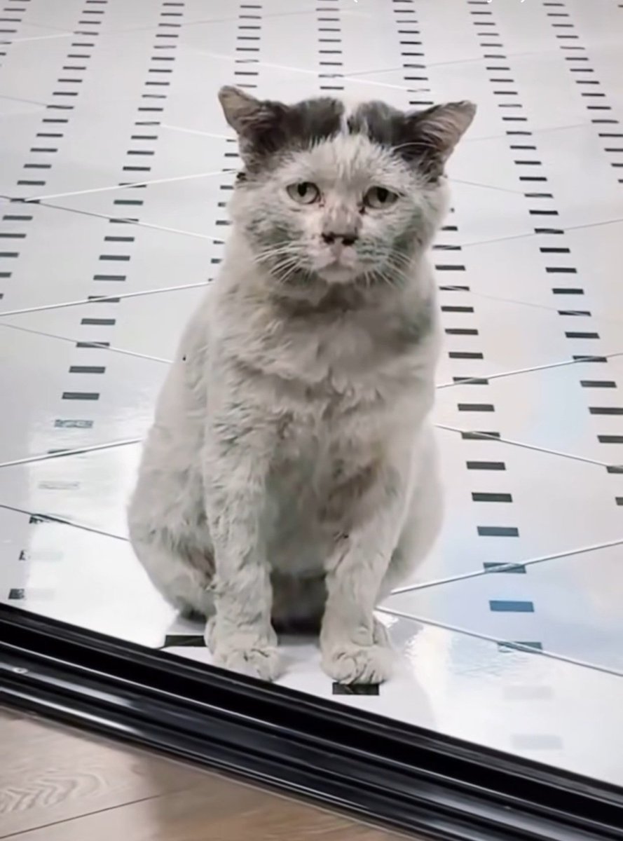 Türkiyede ki borsa yatırımcısının son hali. #Borsaİstanbul #bist100 #xu100 #borsa