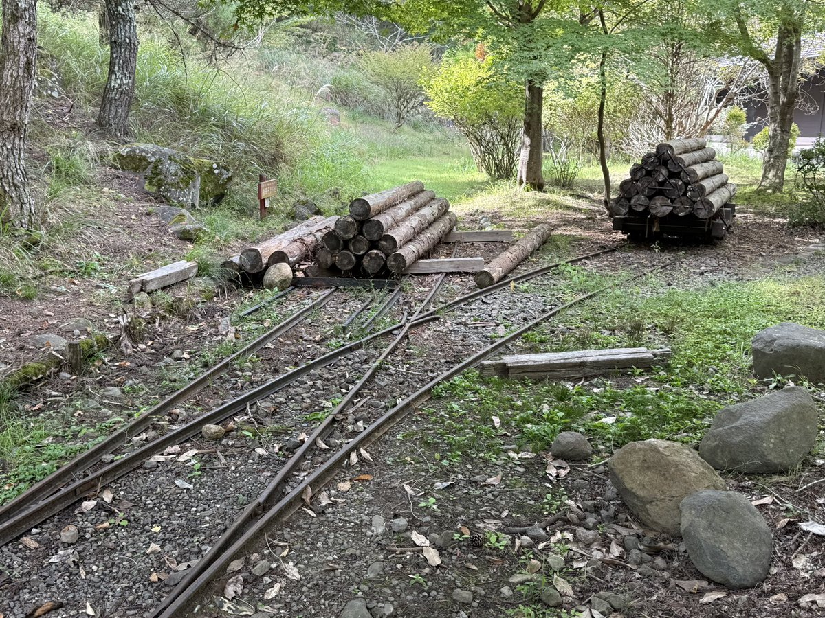 noiseandblame's tweet image. 山梨県において、林業や鉱業に用いられた様々なトロッコたち。
#土曜日のトロッコ