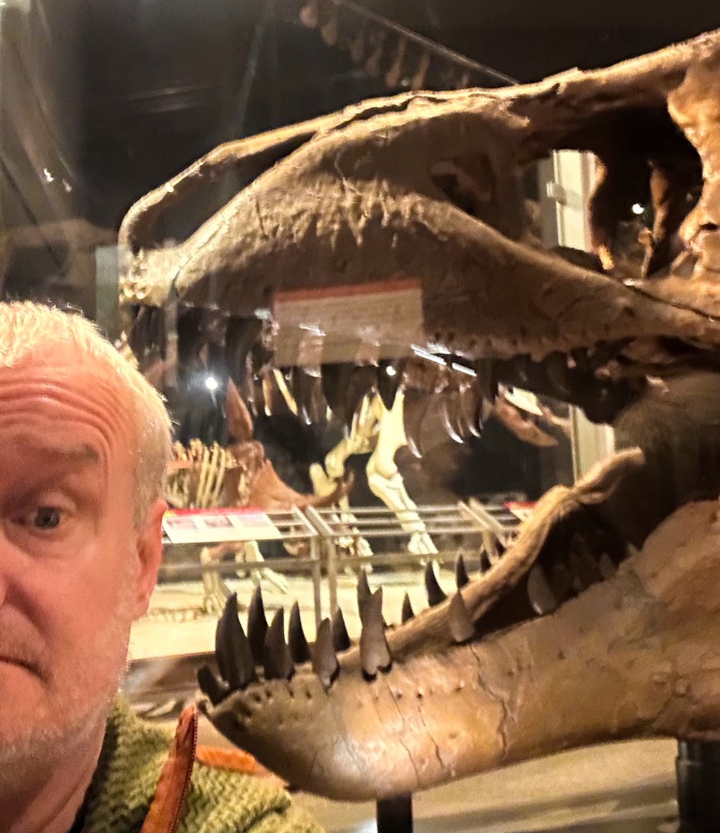 prairieguy2016's tweet image. Saturday Selfie! Yep… My head would fit in a T. Rex’s mouth. I’ve been wondering that since I was a kid. #wondering #fossils #dinosaurs #museumoftherockies #montana #wandering
