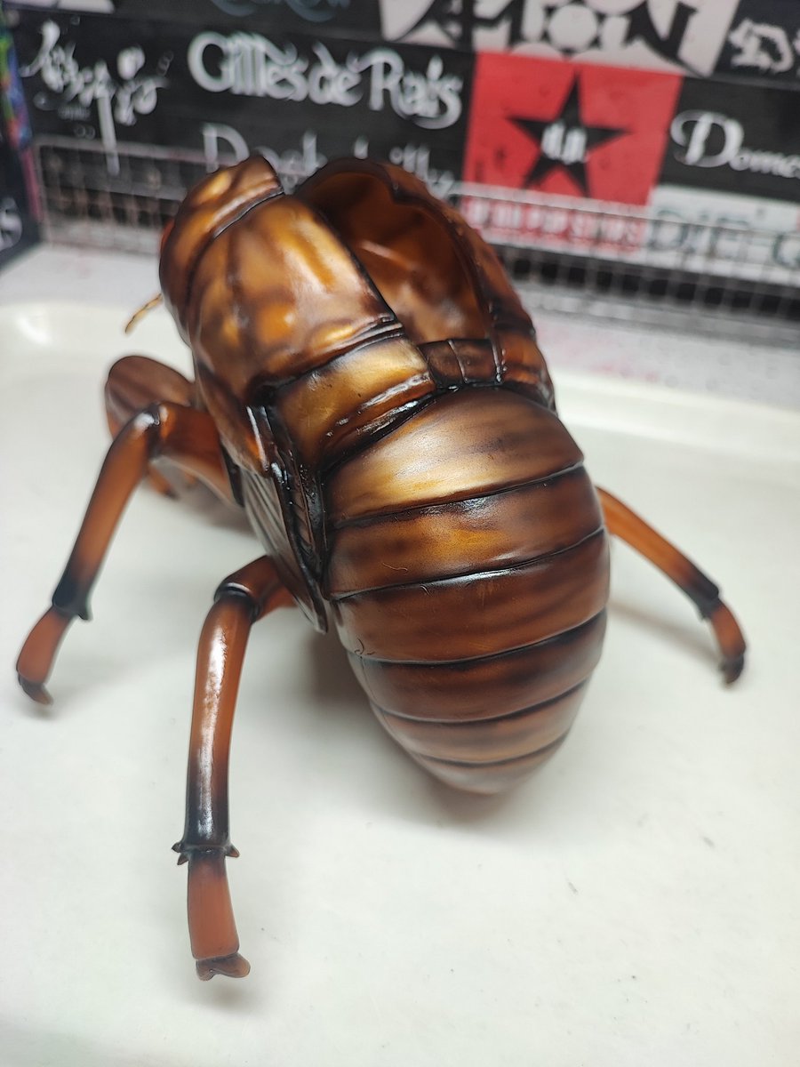 天才TADACy12/6シカフェス (@TADACy_com) / Posts / X