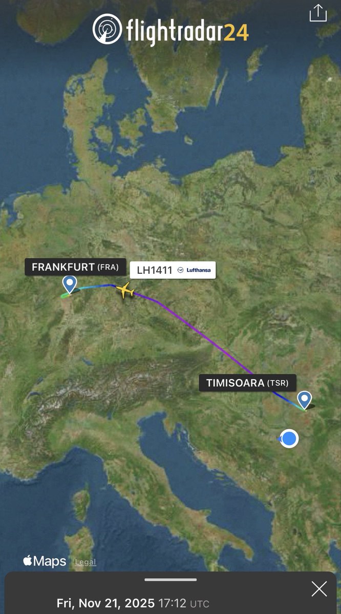 Peđa Vučetić tweet media