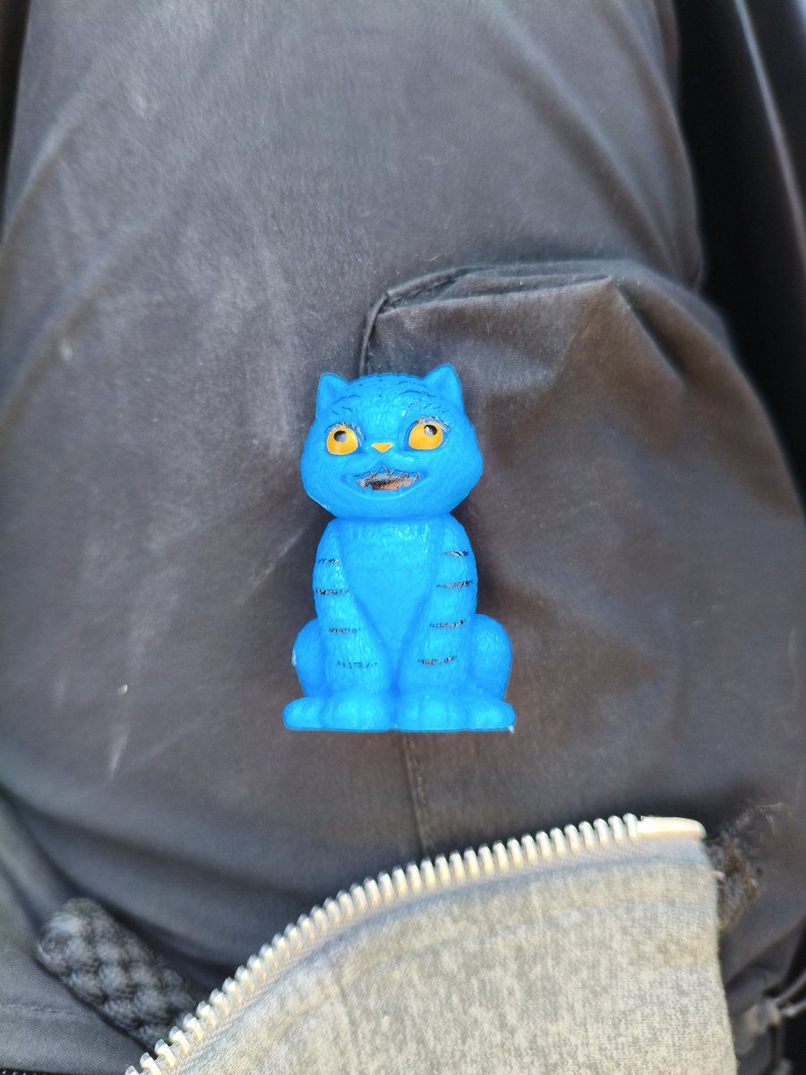 Minami_Bushi's tweet photo. Esperaba un tigre y me salió un ñigre. https://t.co/0KcVbi06a6