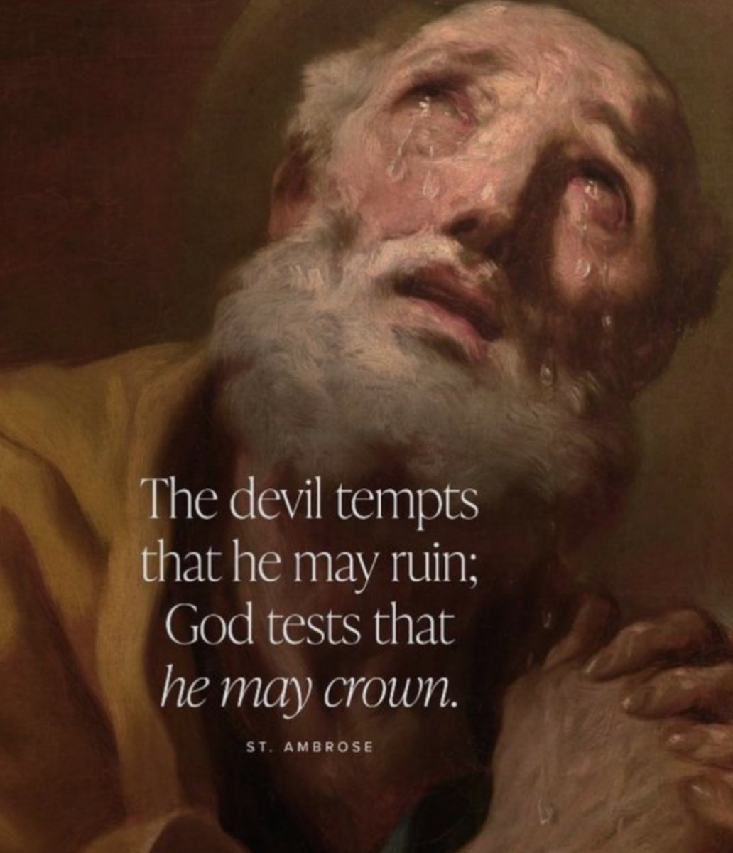 Catholic Life (@prayandfast2) on Twitter photo 