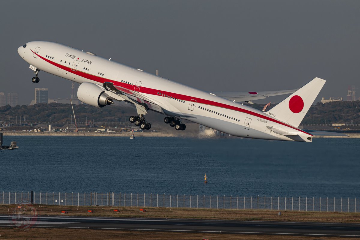 Wild Weasel tweet media