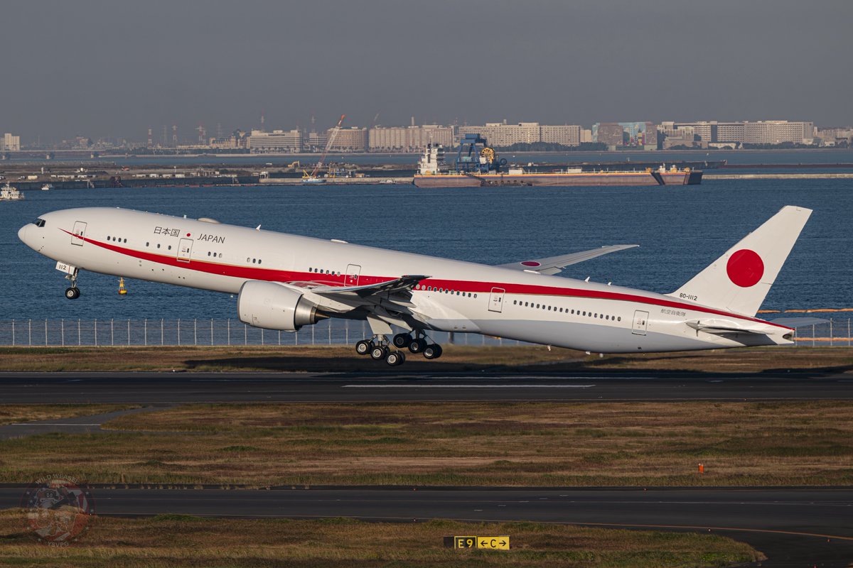 Wild Weasel tweet media