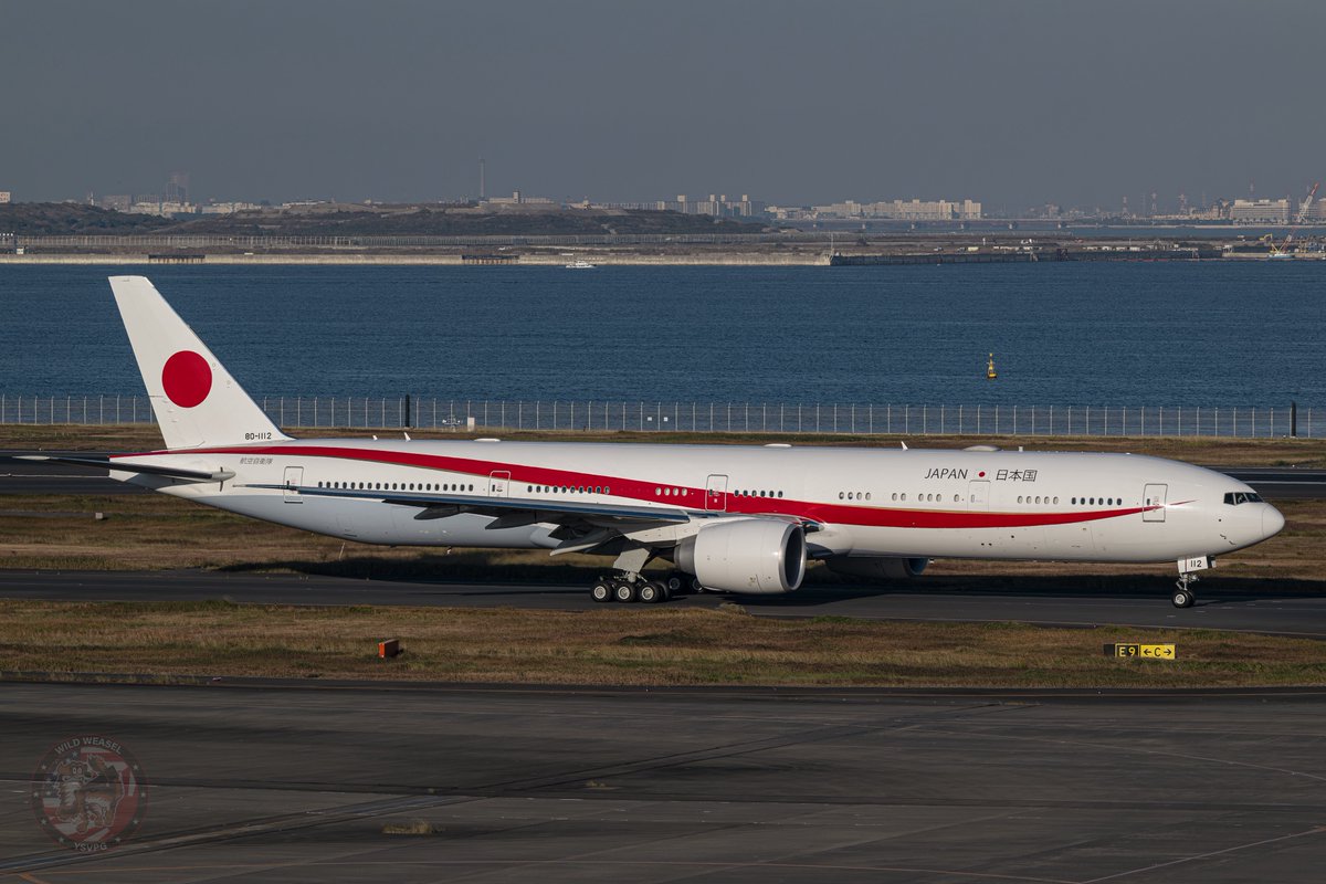 Wild Weasel tweet media