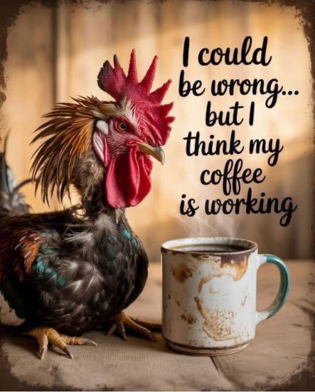 Good morning my friends, Happy Saturday… Have yourself an awesome weekend! ☕️😉👋