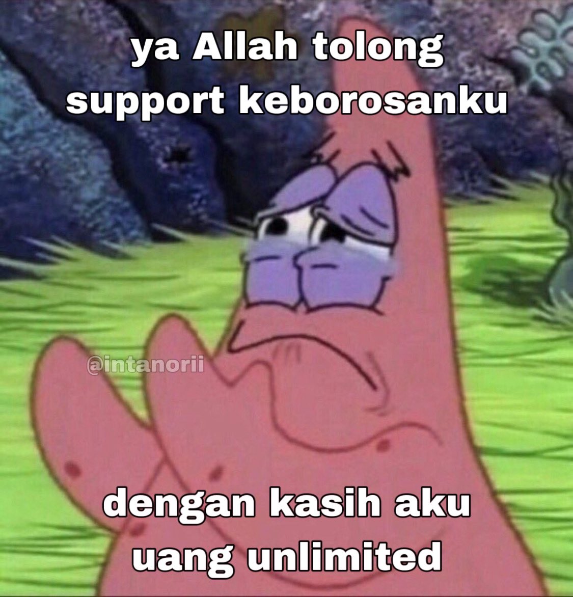 intanorii's tweet image. 