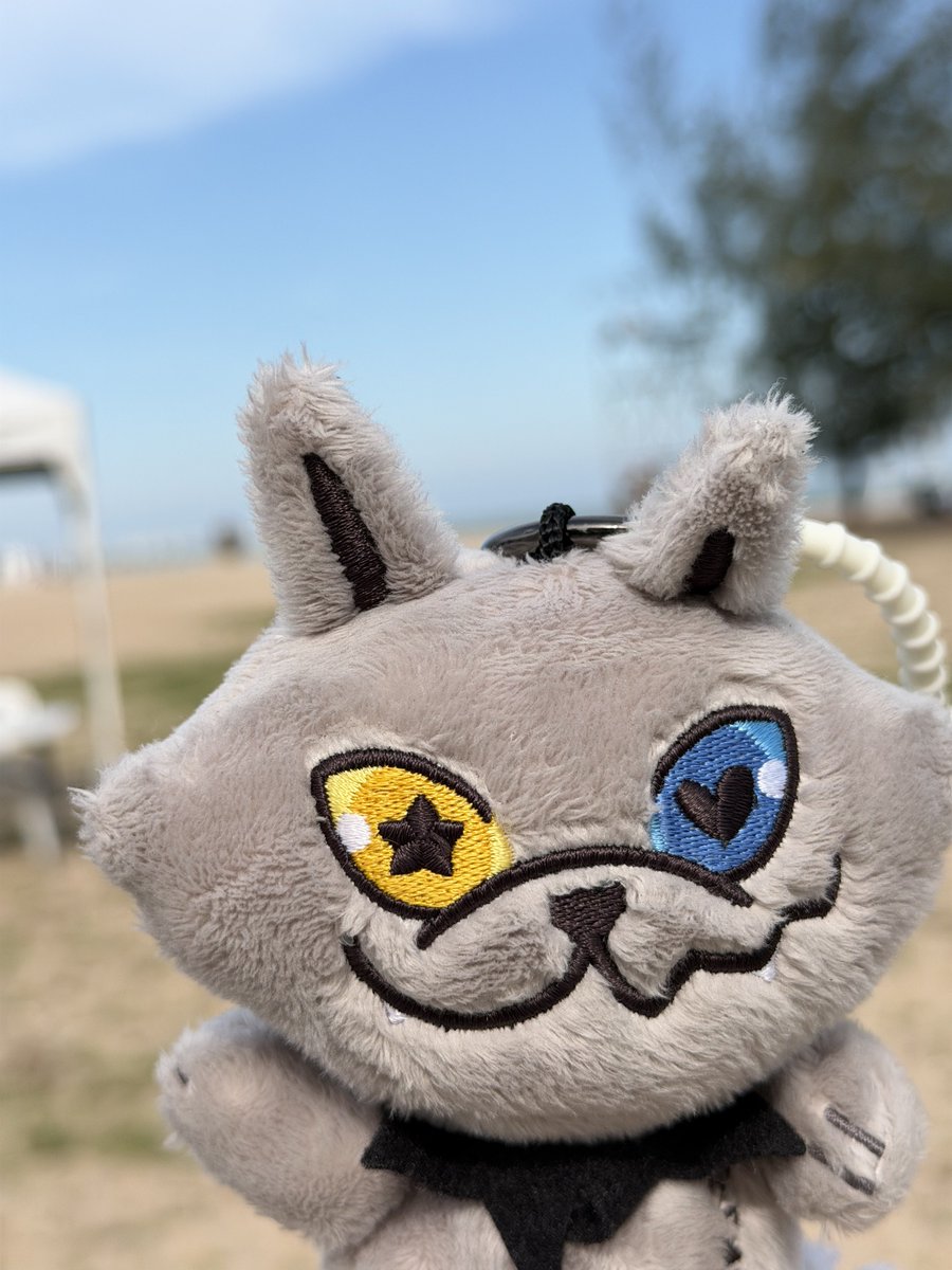 Post by 𝚝eddi ⋆ ᶻ 𝗓 𐰁 on X: 🌊🩶