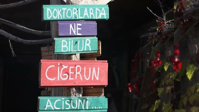 Hurriyet's tweet image. Ankara&apos;nın tam ortasında &apos;Renkli köy&apos;: Duyan ilçeye akın ediyor! &apos;Çocukluğuma döndüğümü hissetim&apos;

hurriyet.com.tr/galeri-ankaran…