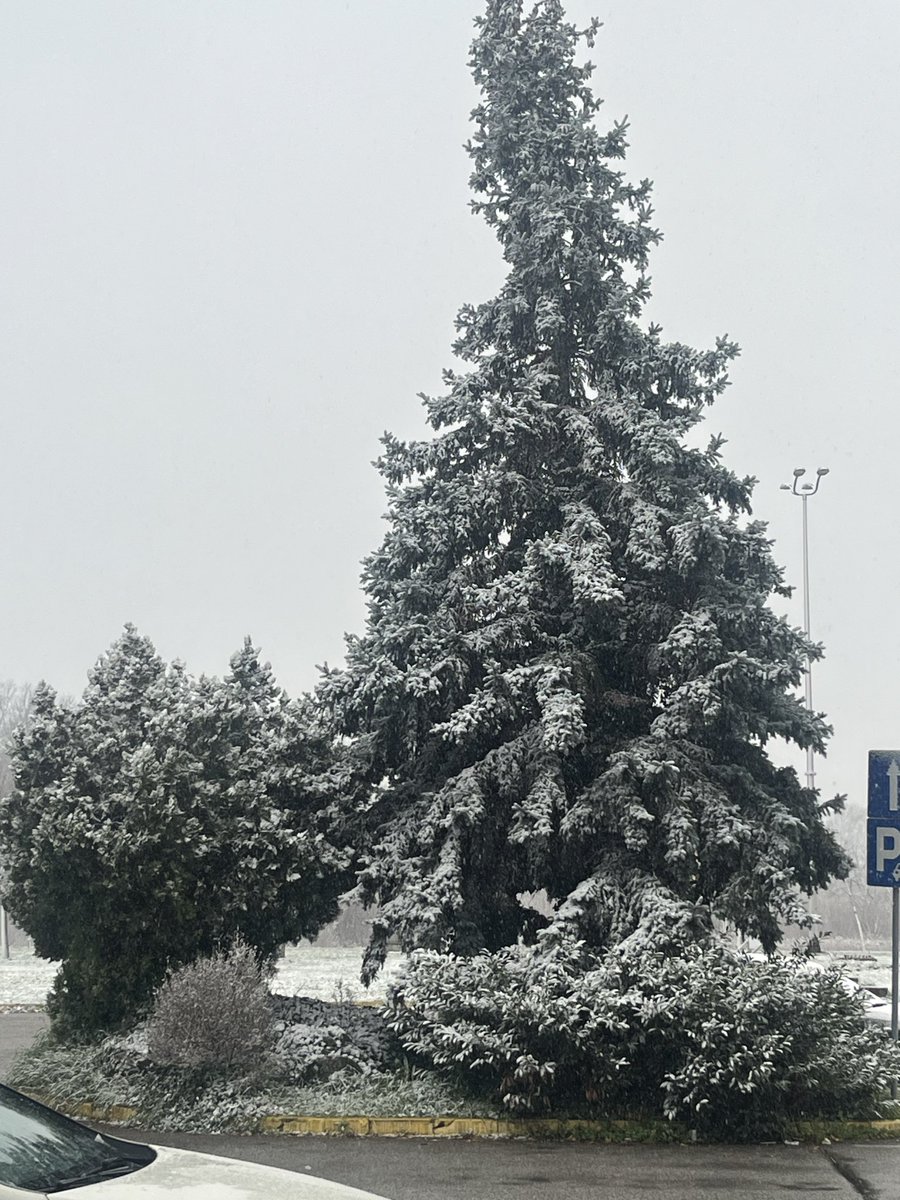 DaddyBae🇭🇷 tweet media