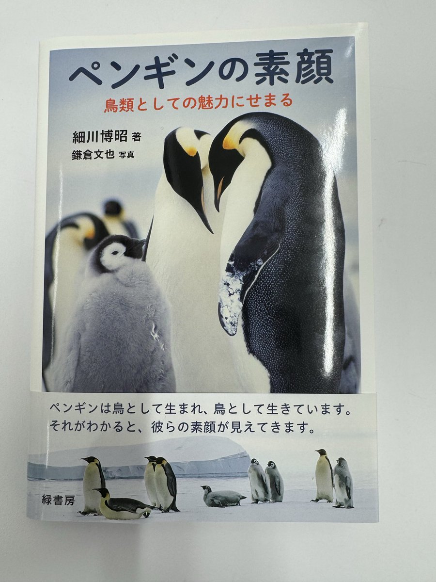 1970's SWANSON ペンギン ビンテージ スタチュー アドバタイジング