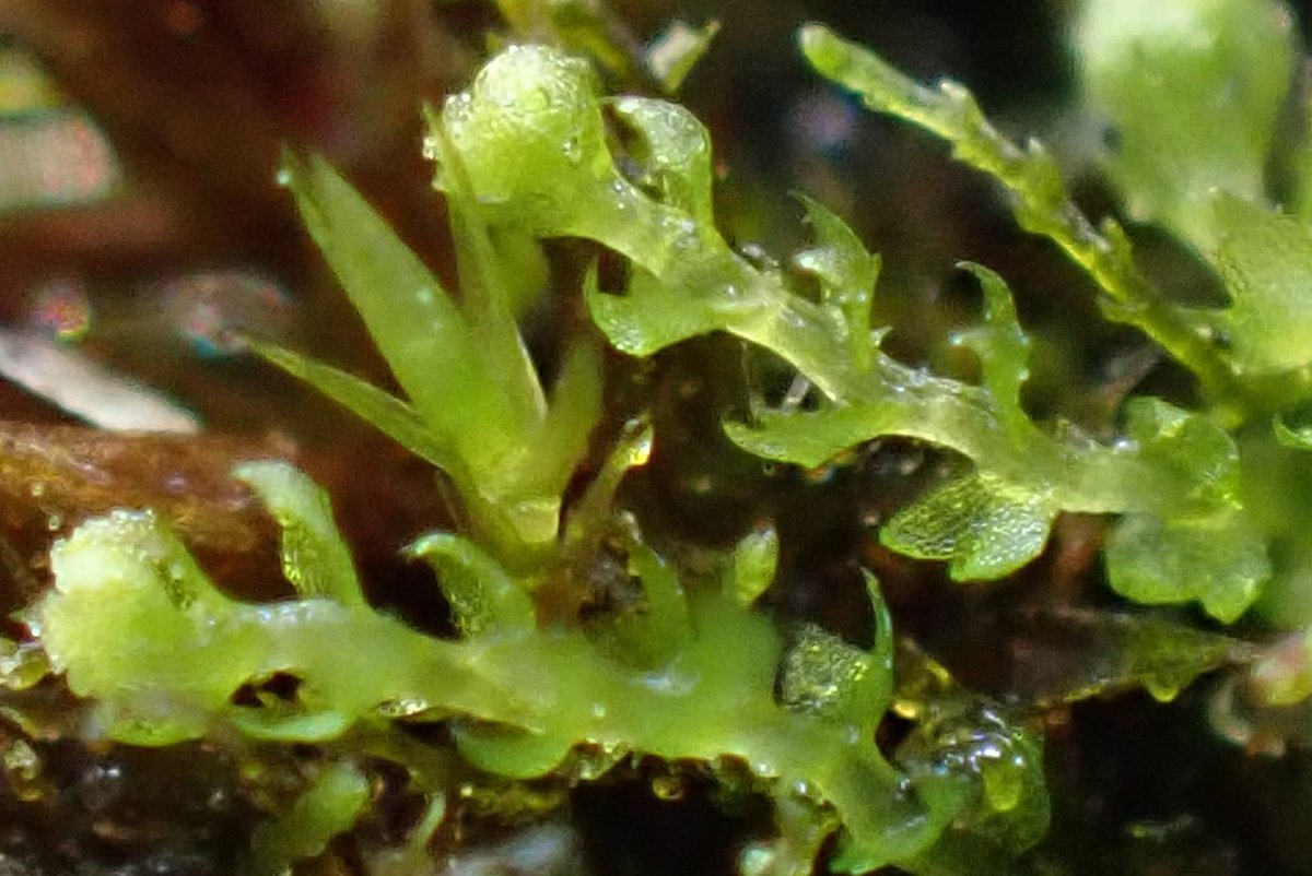 Jamie warren tweet media