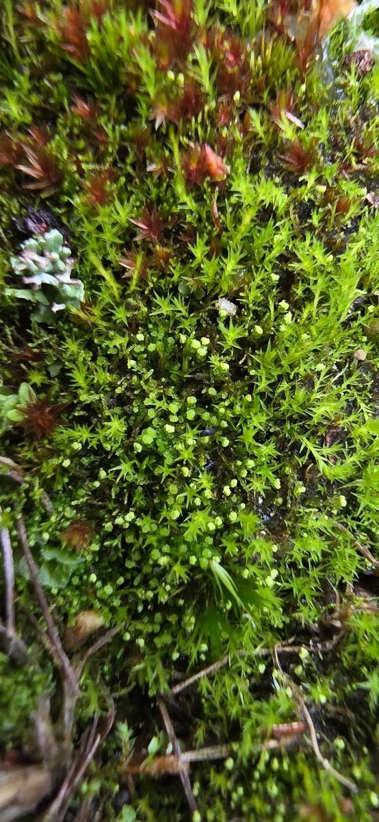 Jamie warren tweet media