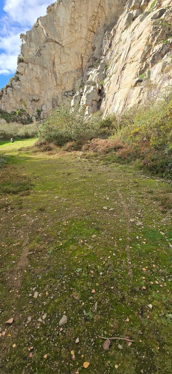 Jamie warren tweet media