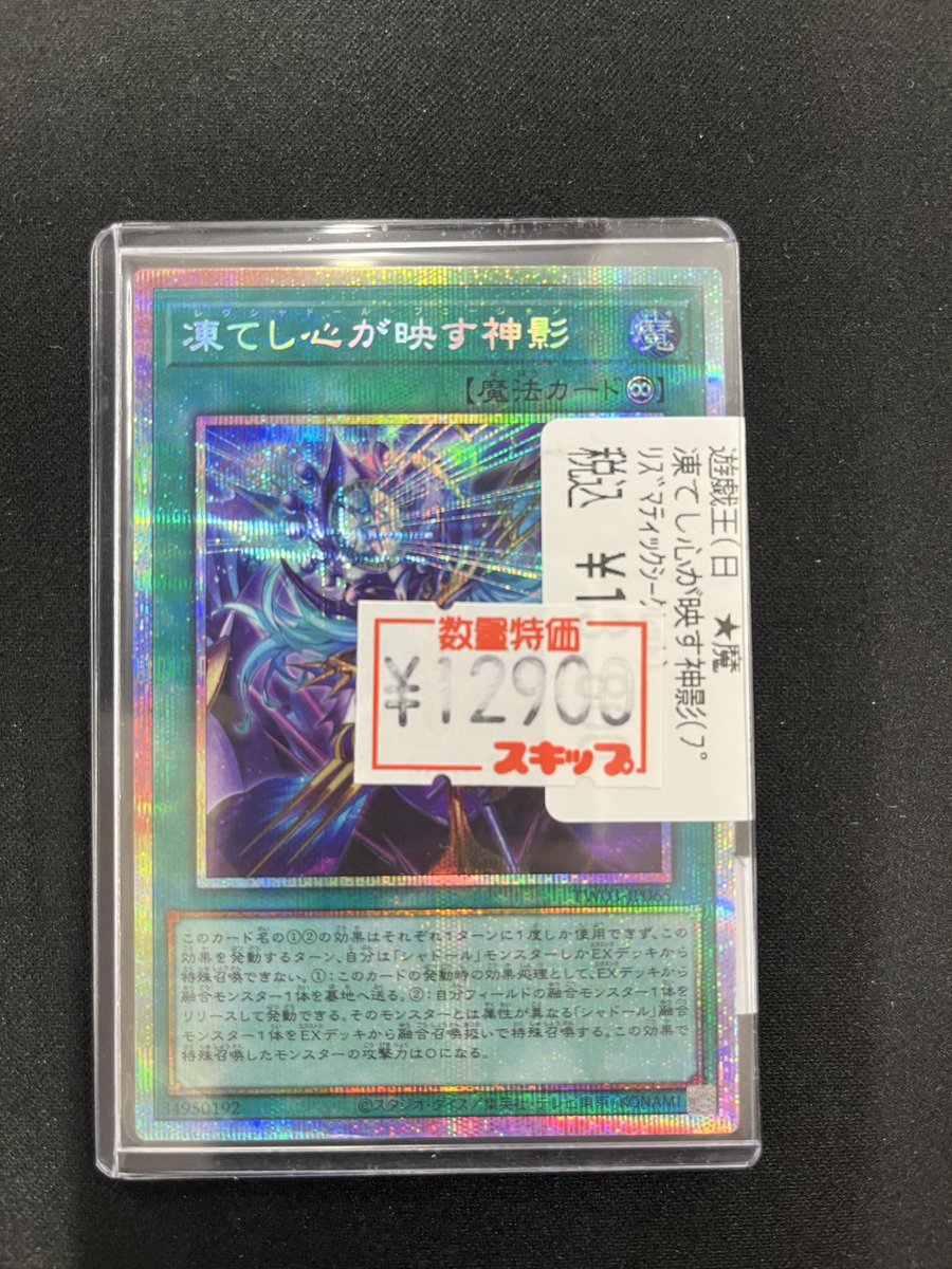 凍てし心が映す神影 レヴシャドールフュージョン プリズマ プリシク 凍て