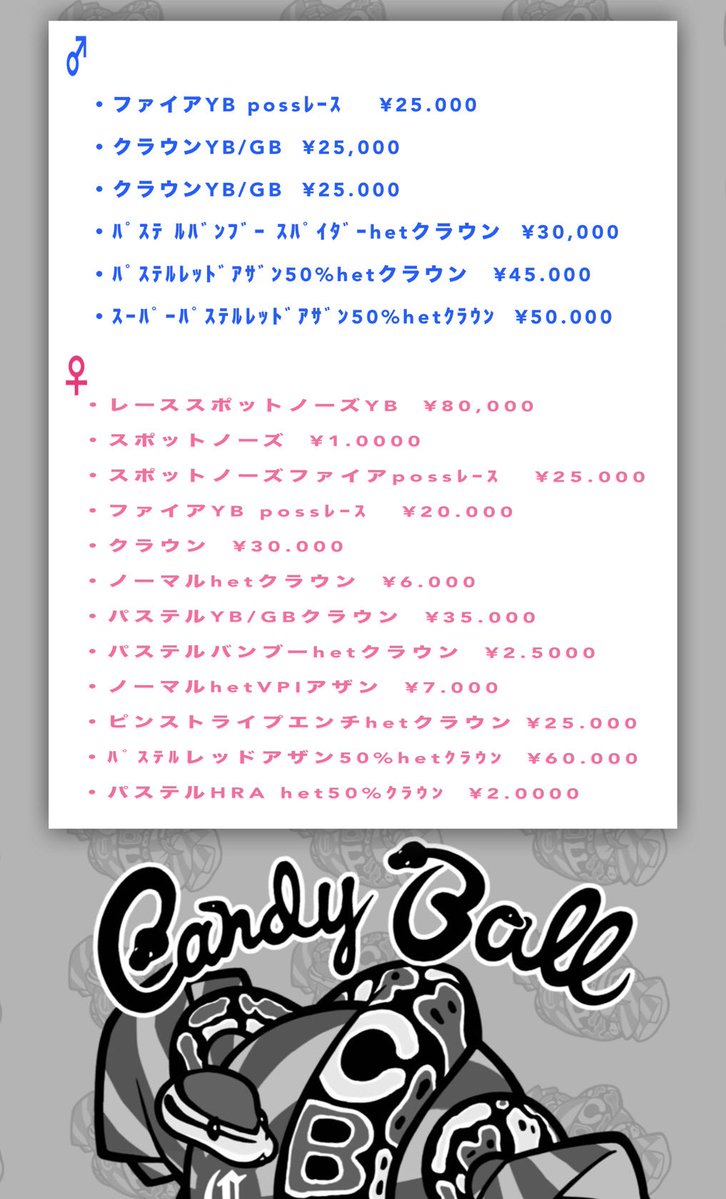 c_b_f060314's tweet image. 販売開始致しましたのでボールパイソンの
販売個体リスト作成しました🐍
気になる子いましたら気軽にお問い合わせ下さい💡
『とりあえず画像、動画など見たい』
などなど
大歓迎です🙇🏻✨

#ボールパイソン
#Ballpython
#CandyBallFamilia