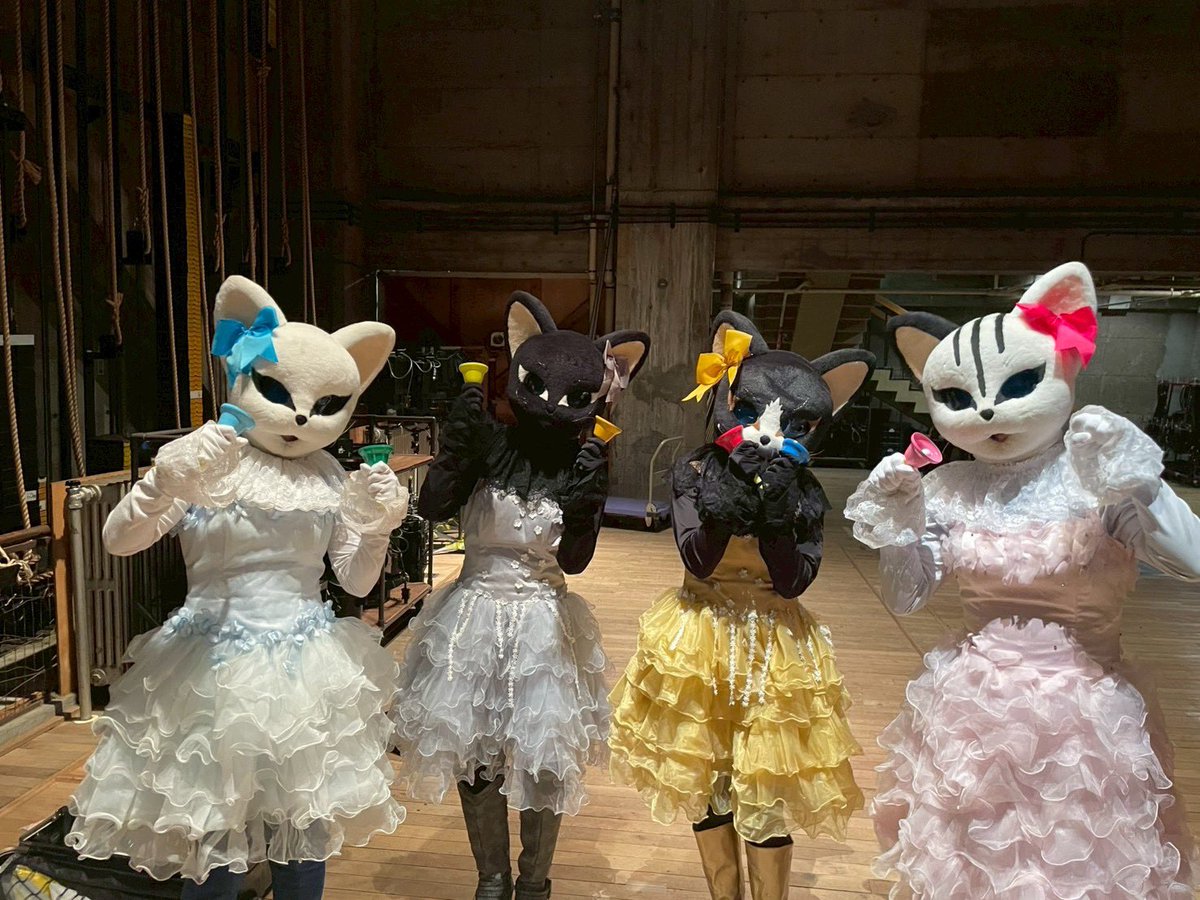 1年ぶりの苫小牧！
クラリキャット初登場…ということで張り切るネコ達でした🐱
#音楽の絵本 #クラリキャット