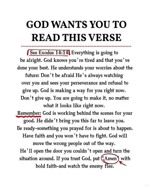 Holy__Bible1's tweet image. 