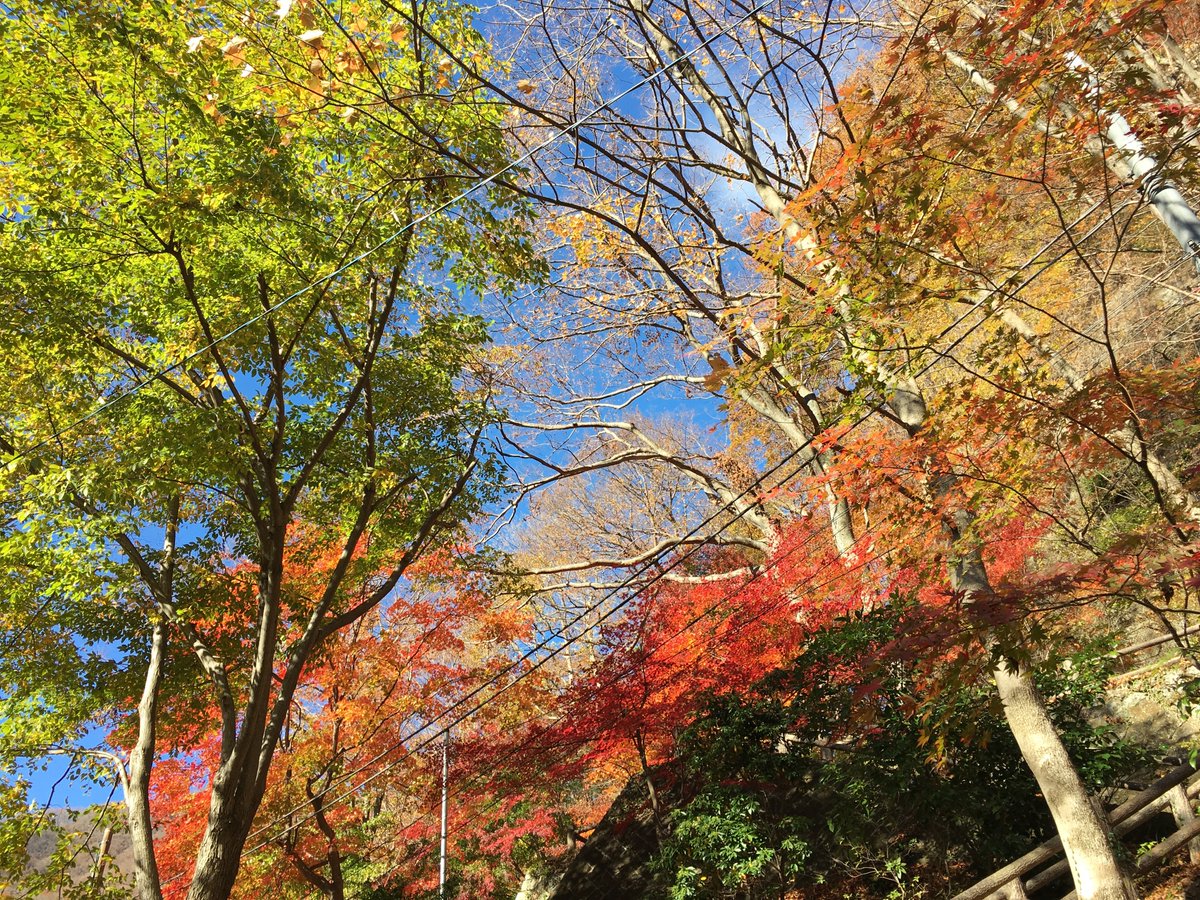 先日新月で、悩んだ方も多いんじゃないでしょうか？

今回は情よりも正しい決断をすること。

仕事、人間関係、恋愛、お金。
どうにかしたいのに、ここまで来てしまった問題。

そろそろ結論出したい…

今の悩みや不安を片付けて、三連休を楽しく過ごして下さいね。

　kaginekotei.com/blog/4231/