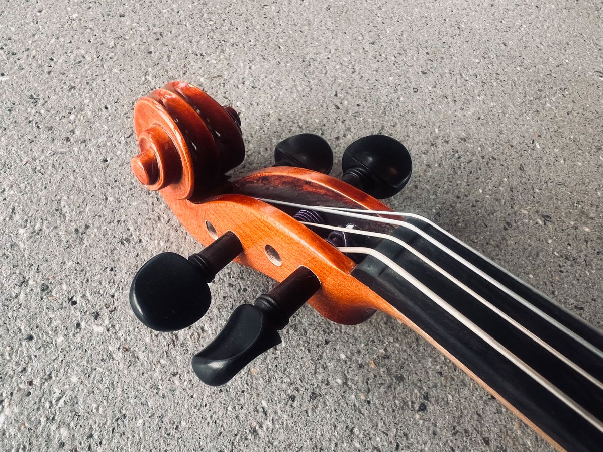 BaselLive tweet media