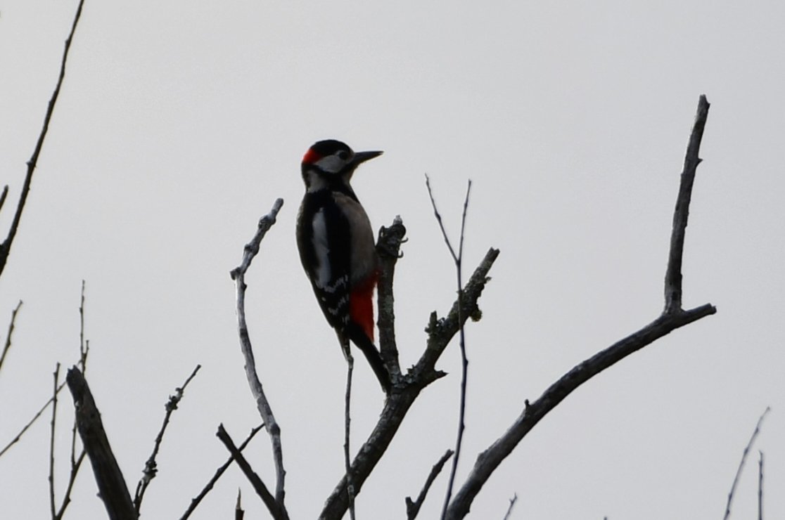 J@a.p (@jose_ap19) on Twitter photo 