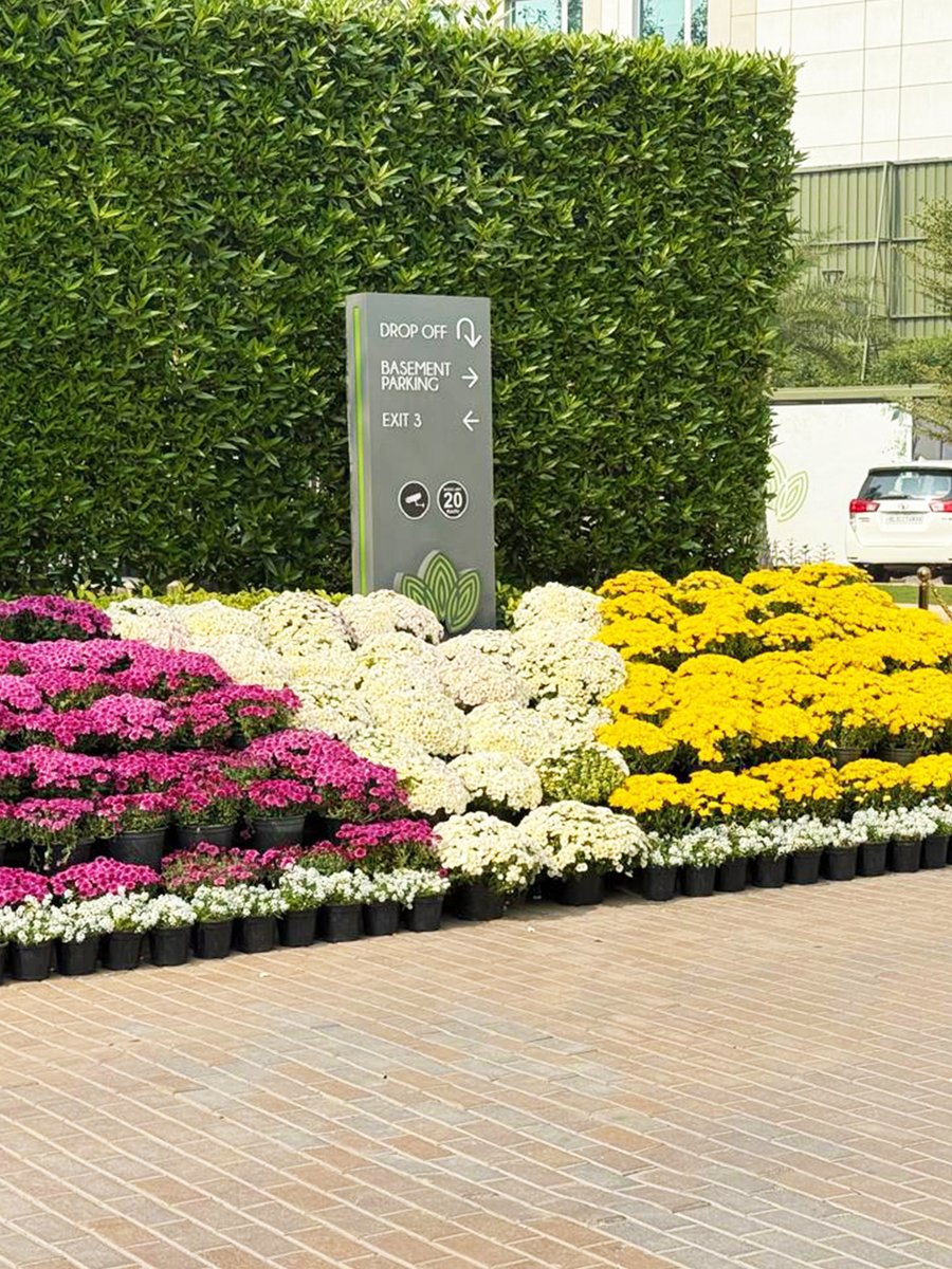 EldecoGroup's tweet photo. When your favourite project announces Delhi Winter in such a spectacular festive way!
Can’t wait to see more of such, through this winter.
#Eldeco #EldecoGroup #EldecoCentre #EldecoCentreFlowerFestival #FlowerFestival https://t.co/CzZG27OO7o